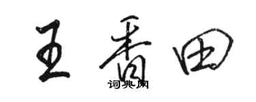 骆恒光王香田行书个性签名怎么写