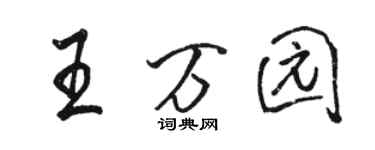 骆恒光王万园行书个性签名怎么写