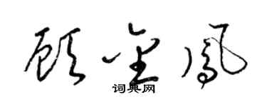 梁锦英顾金凤草书个性签名怎么写