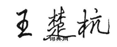 骆恒光王楚杭行书个性签名怎么写