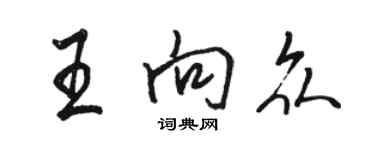 骆恒光王向众行书个性签名怎么写
