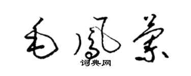 梁锦英毛凤兰草书个性签名怎么写