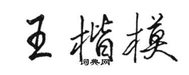 骆恒光王楷模行书个性签名怎么写