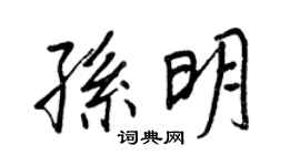 王正良孙明行书个性签名怎么写