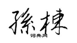 王正良孙栋行书个性签名怎么写