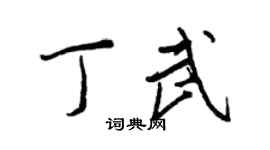 王正良丁武行书个性签名怎么写