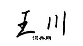 王正良王川行书个性签名怎么写