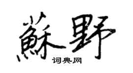 王正良苏野行书个性签名怎么写