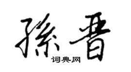 王正良孙晋行书个性签名怎么写