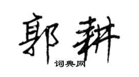 王正良郭耕行书个性签名怎么写