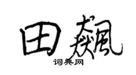 王正良田飙行书个性签名怎么写