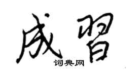 王正良成习行书个性签名怎么写