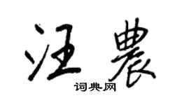 王正良汪农行书个性签名怎么写