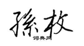 王正良孙枚行书个性签名怎么写