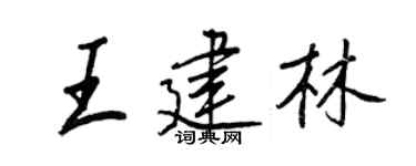 王正良王建林行书个性签名怎么写