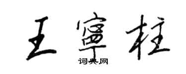 王正良王宁柱行书个性签名怎么写