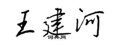 王正良王建河行书个性签名怎么写