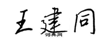 王正良王建同行书个性签名怎么写