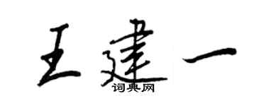 王正良王建一行书个性签名怎么写