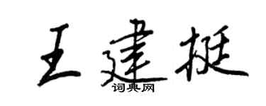 王正良王建挺行书个性签名怎么写