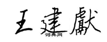 王正良王建献行书个性签名怎么写