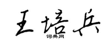 王正良王培兵行书个性签名怎么写