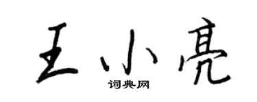 王正良王小亮行书个性签名怎么写