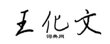 王正良王化文行书个性签名怎么写