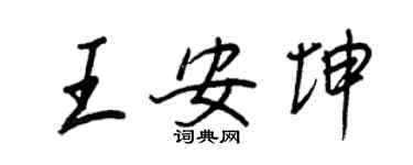 王正良王安坤行书个性签名怎么写