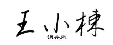 王正良王小栋行书个性签名怎么写