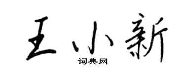 王正良王小新行书个性签名怎么写