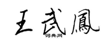 王正良王武凤行书个性签名怎么写