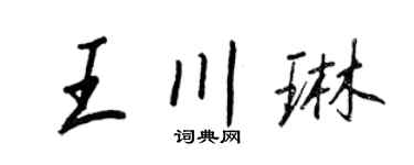 王正良王川琳行书个性签名怎么写