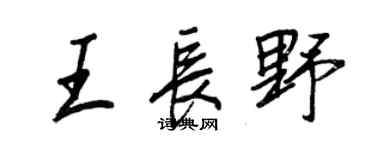 王正良王长野行书个性签名怎么写