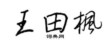 王正良王田枫行书个性签名怎么写