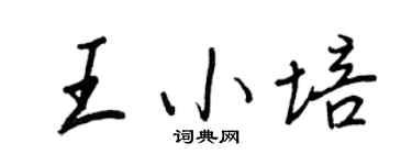 王正良王小培行书个性签名怎么写