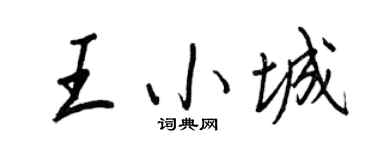 王正良王小城行书个性签名怎么写