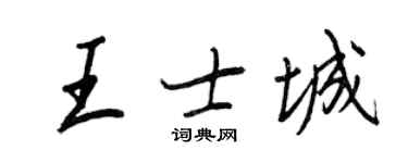 王正良王士城行书个性签名怎么写