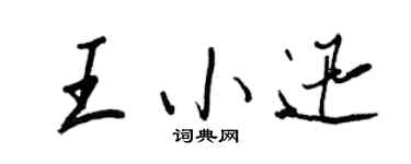 王正良王小迅行书个性签名怎么写