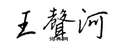 王正良王声河行书个性签名怎么写