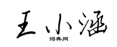 王正良王小涵行书个性签名怎么写