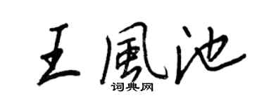 王正良王风池行书个性签名怎么写