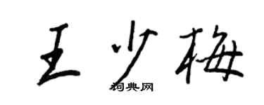 王正良王少梅行书个性签名怎么写