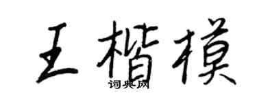 王正良王楷模行书个性签名怎么写