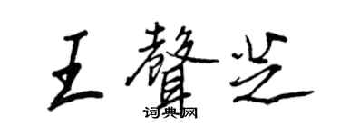 王正良王声芝行书个性签名怎么写