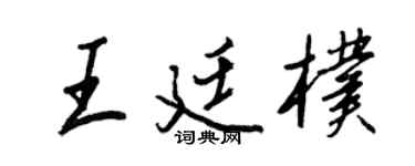 王正良王廷朴行书个性签名怎么写