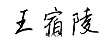 王正良王宿陵行书个性签名怎么写