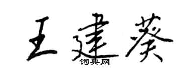 王正良王建葵行书个性签名怎么写