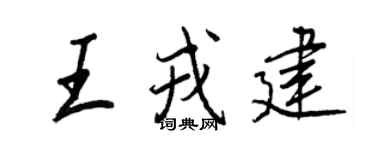 王正良王戎建行书个性签名怎么写