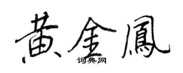 王正良黄金凤行书个性签名怎么写